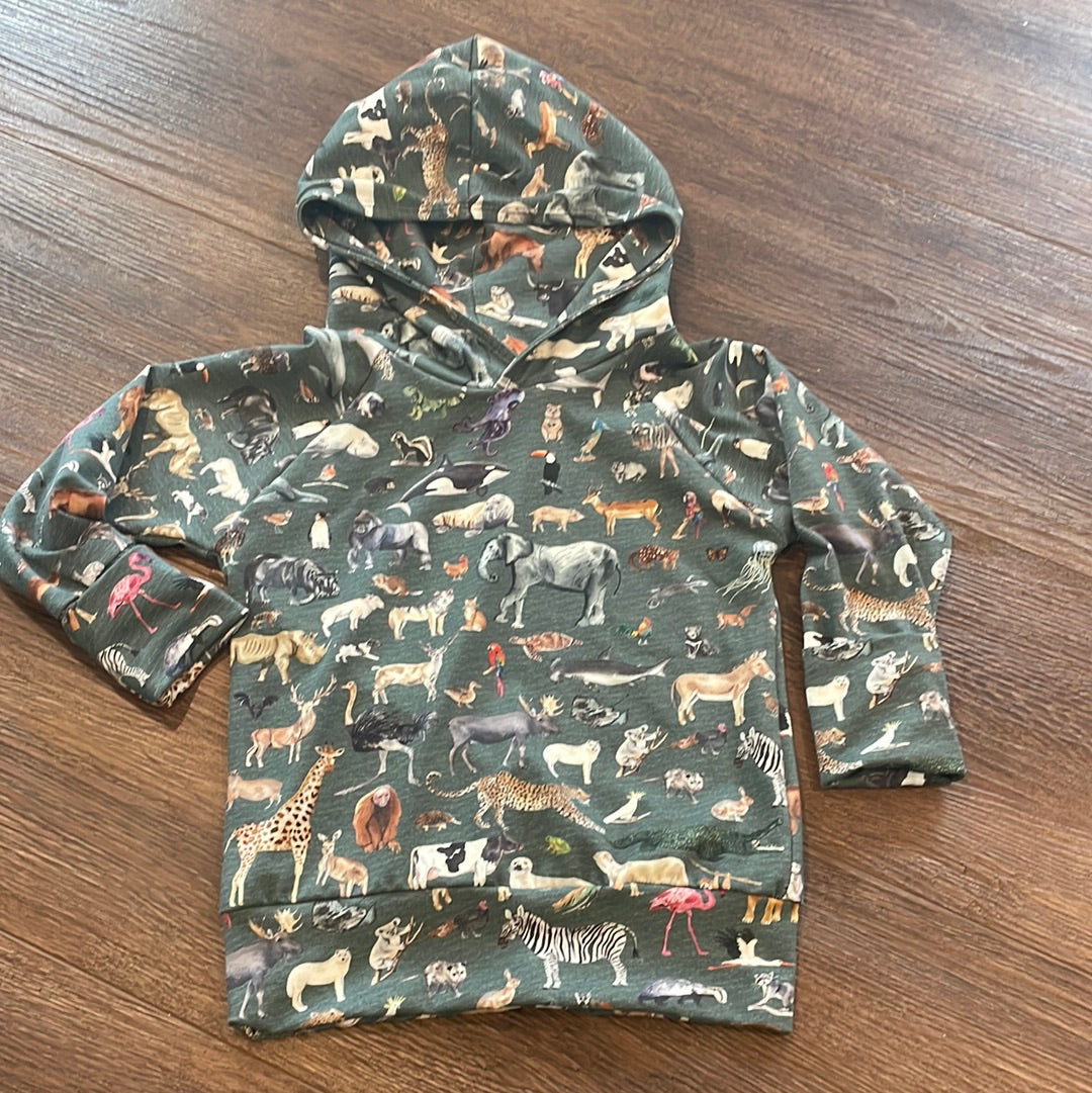 Grow With Me Hooded Raglan